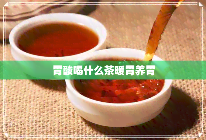 胃酸喝什么茶暖胃养胃