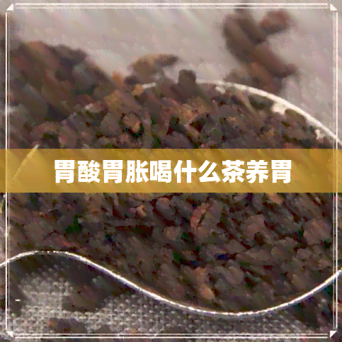 胃酸胃胀喝什么茶养胃