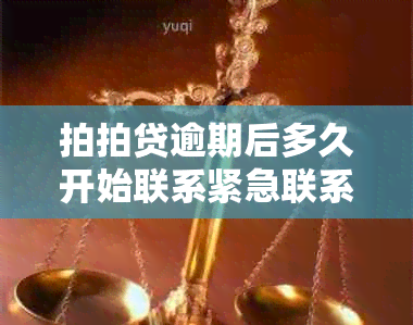 拍拍贷逾期后多久开始联系紧急联系人及电话流程详述