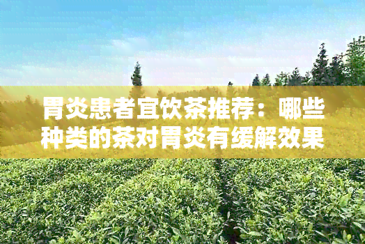 胃炎患者宜饮茶推荐：哪些种类的茶对胃炎有缓解效果？