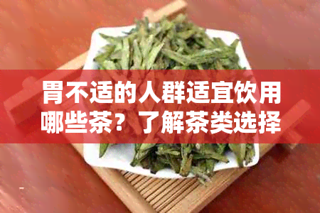 胃不适的人群适宜饮用哪些茶？了解茶类选择以缓解胃痛与调理胃气