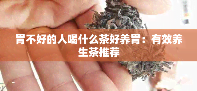 胃不好的人喝什么茶好养胃：有效养生茶推荐