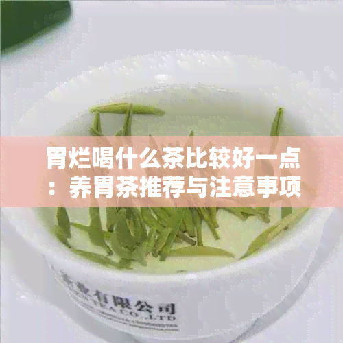 胃烂喝什么茶比较好一点：养胃茶推荐与注意事项