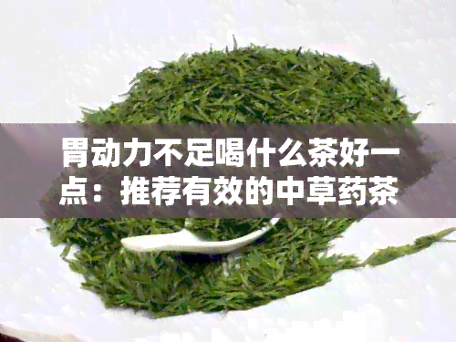 胃动力不足喝什么茶好一点：推荐有效的中草茶