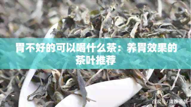 胃不好的可以喝什么茶：养胃效果的茶叶推荐