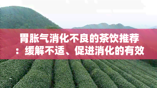 胃胀气消化不良的茶饮推荐：缓解不适、促进消化的有效选择