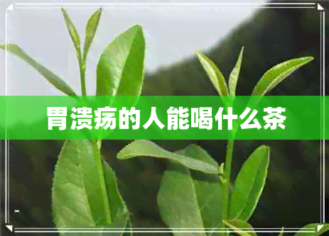 胃溃疡的人能喝什么茶