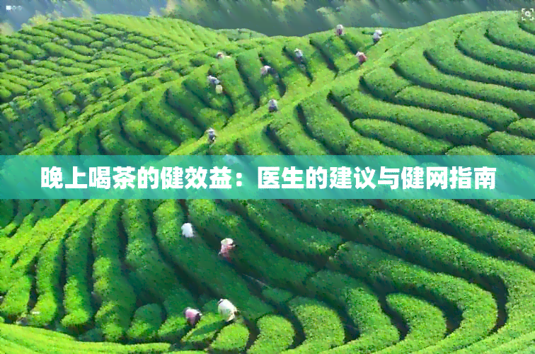 晚上喝茶的健效益：医生的建议与健网指南