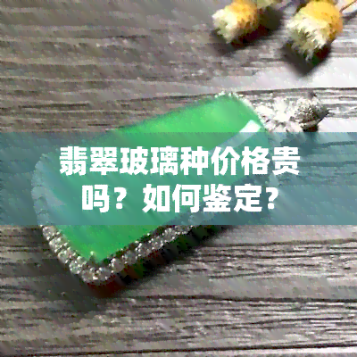 翡翠玻璃种价格贵吗？如何鉴定？