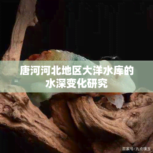 唐河河北地区大洋水库的水深变化研究