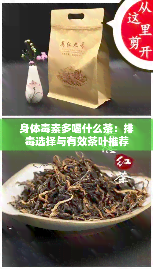 身体素多喝什么茶：排选择与有效茶叶推荐