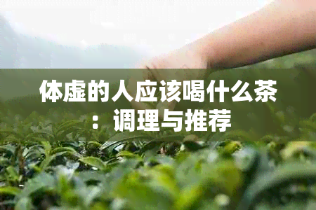 体虚的人应该喝什么茶：调理与推荐