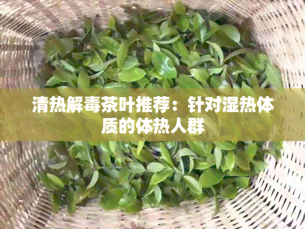 清热解茶叶推荐：针对湿热体质的体热人群