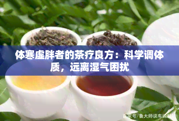 体寒虚胖者的茶疗良方：科学调体质，远离湿气困扰