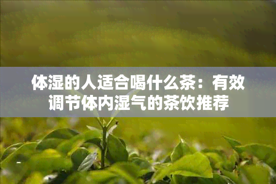 体湿的人适合喝什么茶：有效调节体内湿气的茶饮推荐