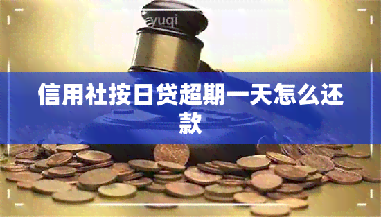 信用社按日贷超期一天怎么还款