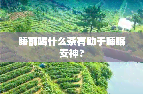 睡前喝什么茶有助于睡眠安神？