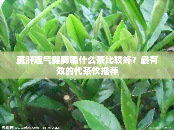 疏肝理气健脾喝什么茶比较好？最有效的代茶饮推荐