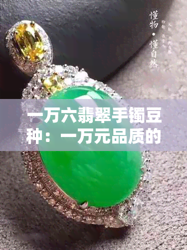 一万六翡翠手镯豆种：一万元品质的翡翠手镯