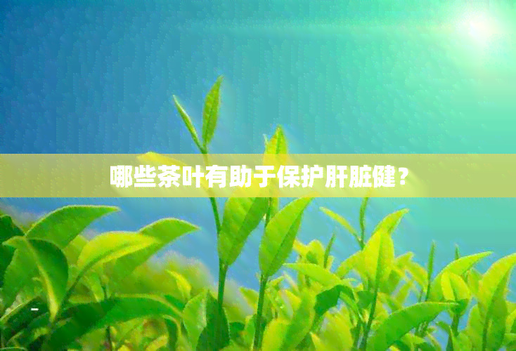 哪些茶叶有助于保护肝脏健？