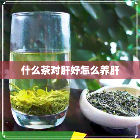 什么茶对肝好怎么养肝