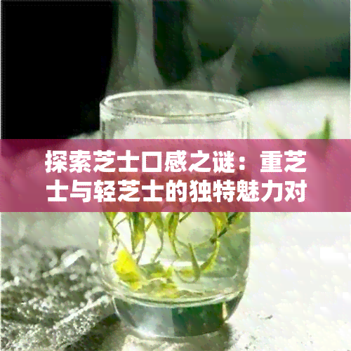 探索芝士口感之谜：重芝士与轻芝士的独特魅力对比