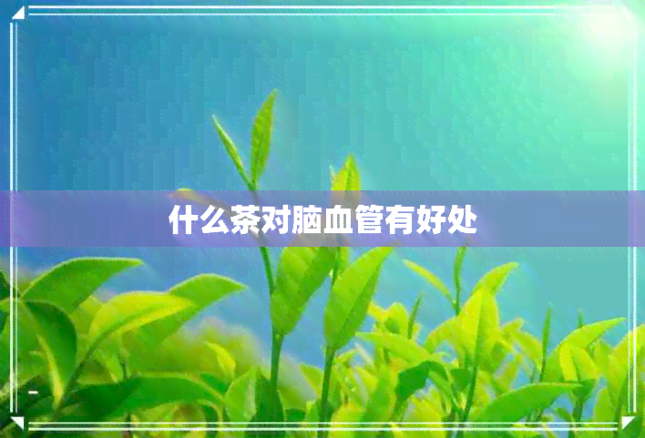 什么茶对脑血管有好处