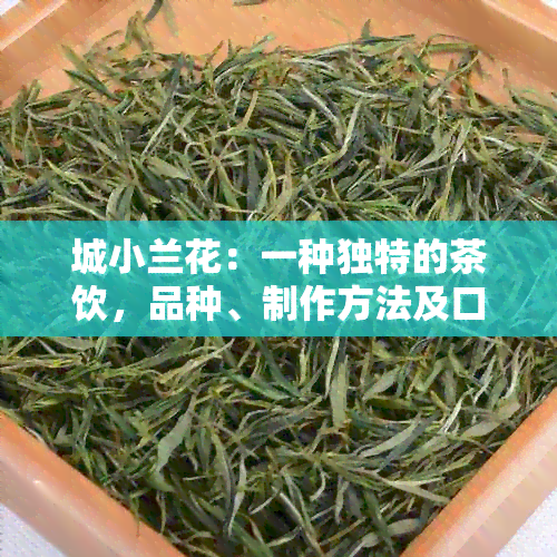 城小兰花：一种独特的茶饮，品种、制作方法及口感详解