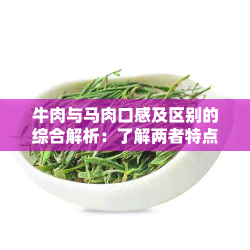 牛肉与马肉口感及区别的综合解析：了解两者特点以便进行选择