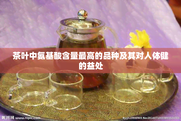 茶叶中氨基酸含量更高的品种及其对人体健的益处