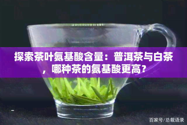 探索茶叶氨基酸含量：普洱茶与白茶，哪种茶的氨基酸更高？