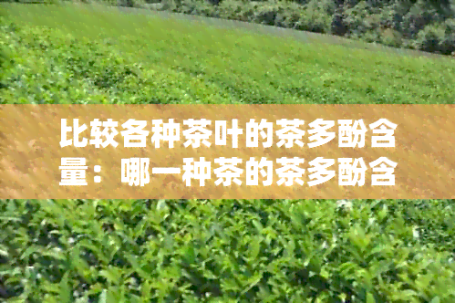 比较各种茶叶的茶多酚含量：哪一种茶的茶多酚含量更高？