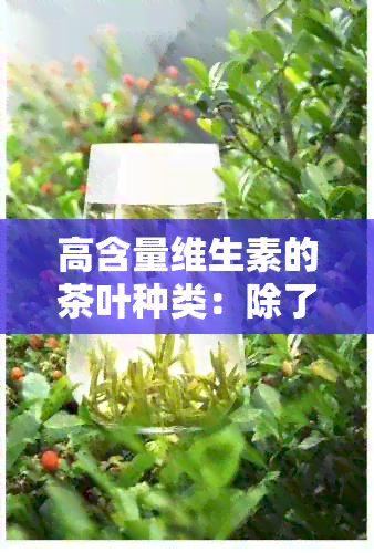 高含量维生素的茶叶种类：除了普洱茶还有哪些？