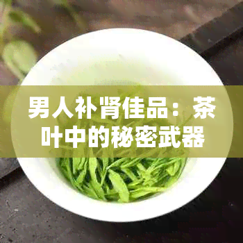 男人补肾佳品：茶叶中的秘密武器，告别性能力下降困扰