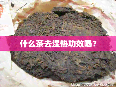 什么茶去湿热功效喝？