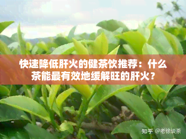 快速降低肝火的健茶饮推荐：什么茶能最有效地缓解旺的肝火？