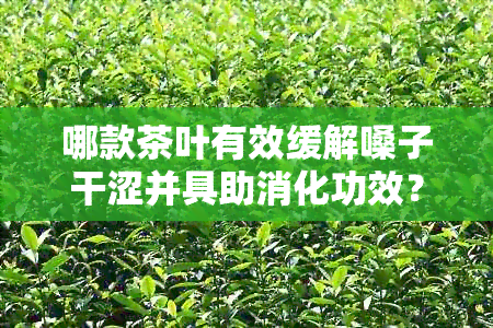 哪款茶叶有效缓解嗓子干涩并具助消化功效？