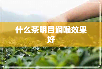 什么茶明目润喉效果好