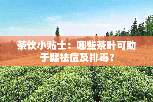 茶饮小贴士：哪些茶叶可助于健祛痘及排？