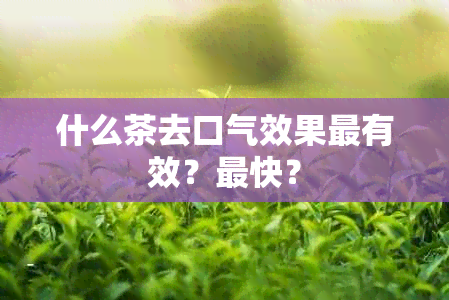 什么茶去口气效果最有效？最快？