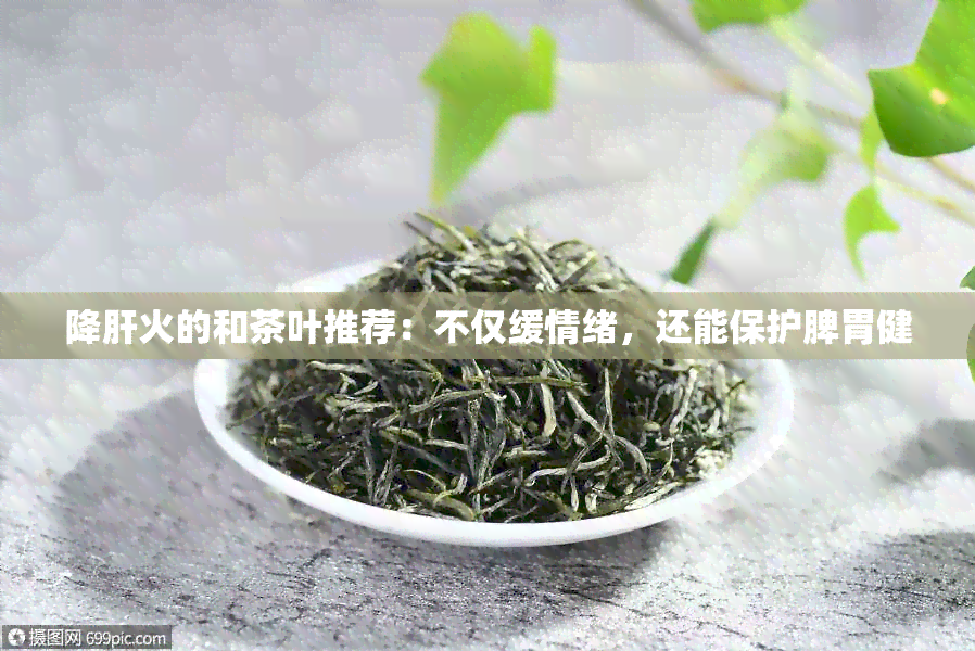 降肝火的和茶叶推荐：不仅缓情绪，还能保护脾胃健