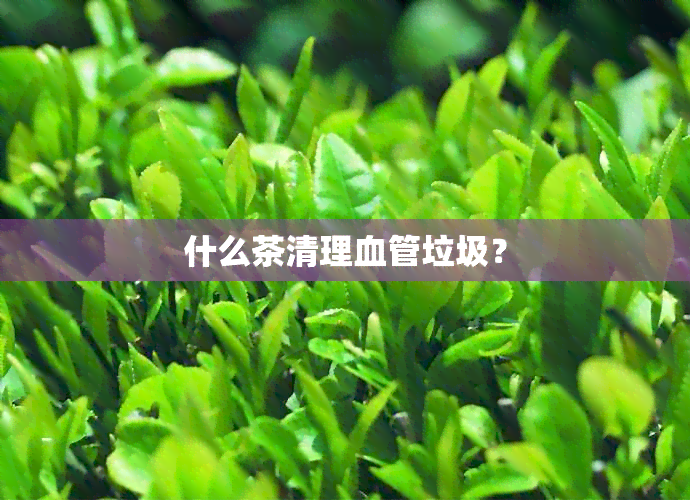 什么茶清理血管垃圾？