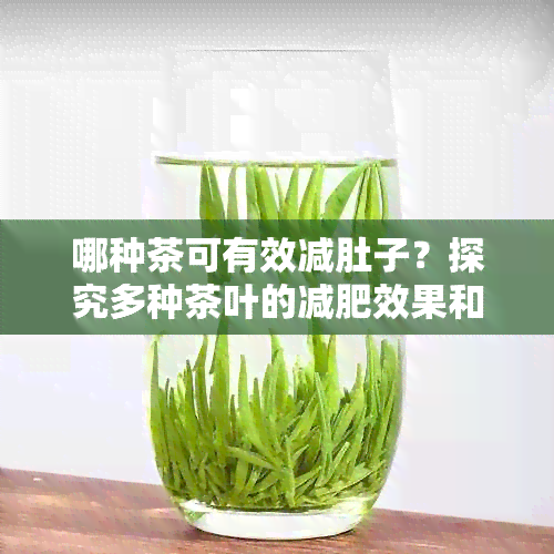 哪种茶可有效减肚子？探究多种茶叶的减肥效果和注意事项