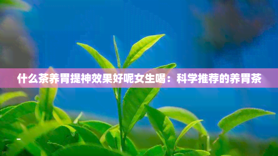 什么茶养胃提神效果好呢女生喝：科学推荐的养胃茶