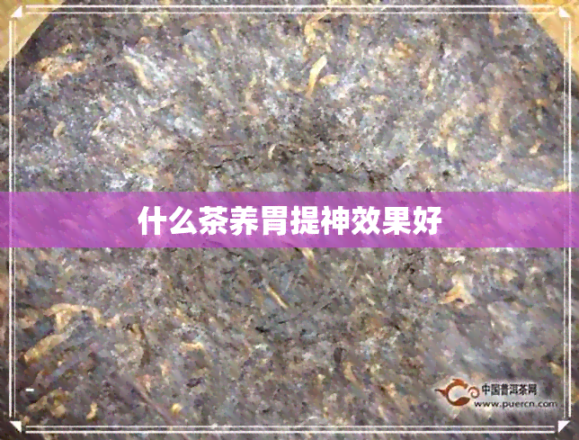 什么茶养胃提神效果好