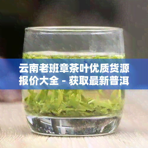 云南老班章茶叶优质货源报价大全 - 获取最新普洱茶批发价格