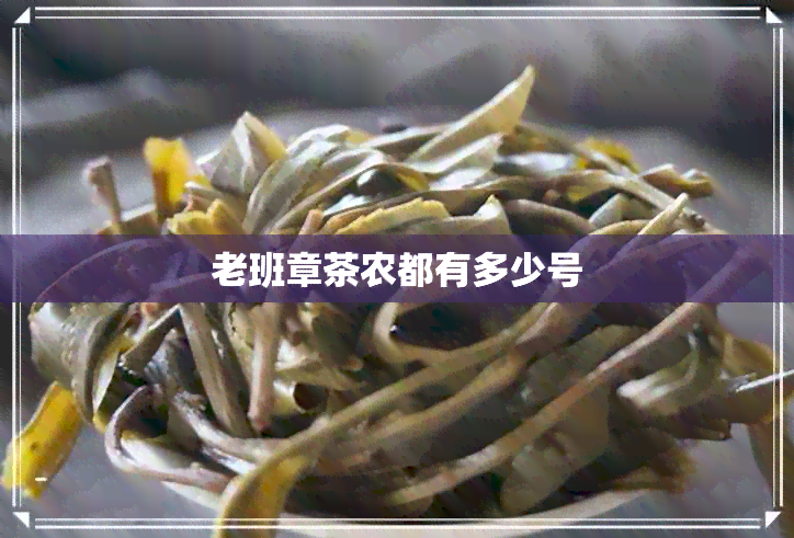 老班章茶农都有多少号