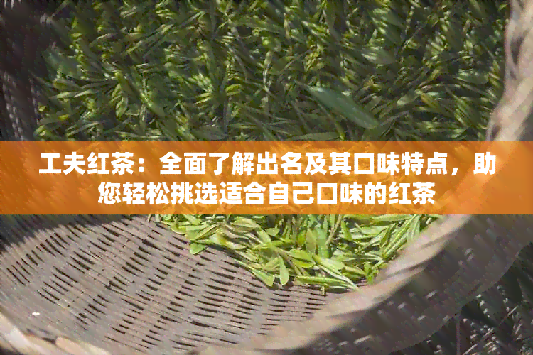 工夫红茶：全面了解出名及其口味特点，助您轻松挑选适合自己口味的红茶