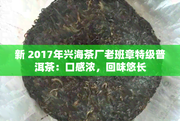 新 2017年兴海茶厂老班章特级普洱茶：口感浓，回味悠长