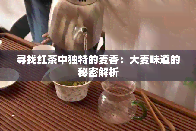 寻找红茶中独特的麦香：大麦味道的秘密解析